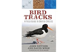 Bird Tracks: A Field Guide to British Species