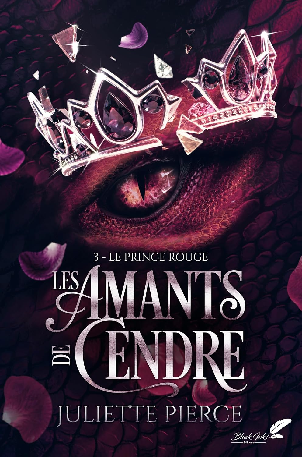 Les amants de cendre, tome 1 : le roi maudit - Mise en situation et utilisation