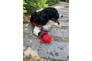 Vibrant Fellow Paw Protector Dog Boots Breathable Protective and Skid-proof Colour Red Set of 4 Size Small