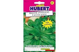 GRAINES HUBERT SEMENCES & ENGRAIS MAIROL Graines de Mache (Feldsalat) a grosse graine - 12 grammes