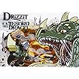 Drizzit e il tesoro del drago