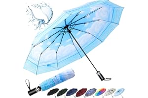 ‎INAWARM inaWarm Regenschirm Sturmfest Automatik, Regenschirm Herren Damen Windfest mit 210 Teflon-Beschichtung 10 Fiberglasrippen und 107cm Breiter, Taschenschirm Kompakt Robuster Faltbarer Groß Umbrella