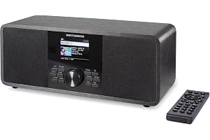 KATHREIN Dab+ Link S12 - Dab+/Internet-radio (stereo, 2 × 15 W, Bluetooth-ljudströmning och sändningsfunktion, streamingtjänster som Deezer, Tidal etc., USB-inspelning)