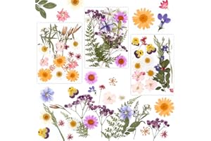 MXTIMWAN Fiori Secchi Decorativi 66 Pz,Flowers Naturali Misti Set,Naturali Pressati Fiori Pressati Secchi,Fiori Pressati Secchi Per candele fai da te,resina,scrapbooking,artigianato e decorazioni
