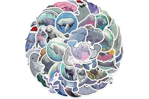 FANCICO 50 sztuk manat naklejki na butelki z wodą, zestaw naklejek na deskorolkę, komputer, dla dzieci i młodzieży