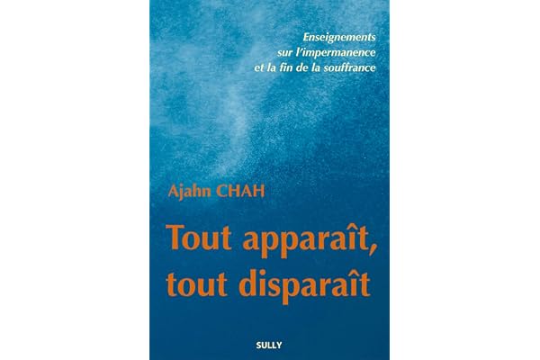 Tout apparaît, tout disparaît: Enseignements sur l'impermanence et la fin de la souffrance