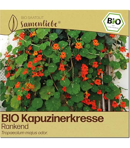 künstliche lebensmittel Lebendiges, beidseitig bedrucktes Offsetpapier für künstliche Lebensmittel main image 1