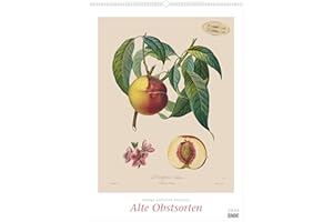 Pierre Antoine Poiteau: Alte Obstsorten 2026 - DUMONT Kunst-Kalender - Poster-Format 50 x 70 cm