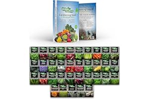 HUA XIAN ZI Semi di ortaggi - Set di 35 verdure assortite non OGM e piantine di erbe aromatiche - Mix di varietà iniziale per giardinaggio indoor e outdoor