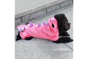 LAKWAR Costume da dinosauro per cani di piccola taglia, costume da cucciolo divertente, comoda felpa con cappuccio da dinosauro, vestiti invernali caldi e leggeri per Halloween (rosa, M)