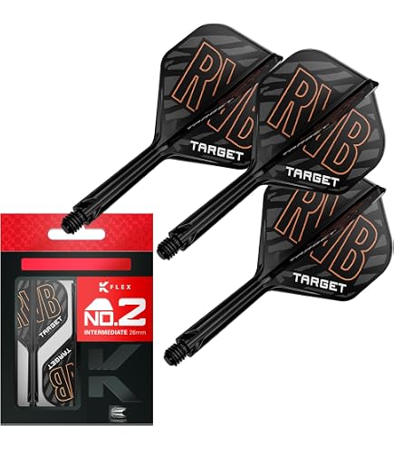 Target Darts Raymond van Barneveld RVB 25 Year Edition 25G 95