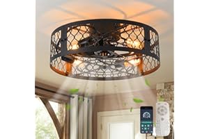 ‎GANEED Ganeed Deckenventilatoren mit Lichtern Industrial Style Farmhouse Deckenventilator 50cm Metall Käfigbeleuchtung E27 Unterputzmontage mit Fernbedienung Schwarz 4 Lichter