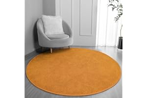 FlyDOIT Round Area Rugs for Bedroom Living Room, 4x4 Orange Super Soft Comfy Thickened Memory-Foam Indoor Circle Carpets, Modern Aesthetic Minimalist Carpet for Boys Girls Adults Nursery Home Décor
