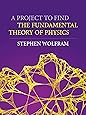A Project to Find the Fundamental Theory of Physics