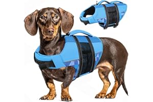 CITÉTOILE Giubbotti di Salvataggio per Cani, Regolabile Salvagente per Animali con Manico, Costume da Bagno di Sicurezza in Acqua per la Vela in Piscina Sulla Spiaggia, Blu, M