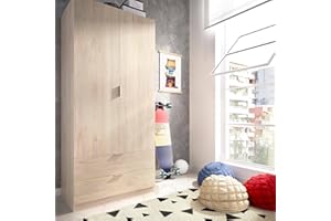 Dmora - Guardaroba Pisanino, Mobile appendiabiti per camera da letto, Armadio a 2 ante battenti e 2 cassetti, 81x52h184 cm, Rovere