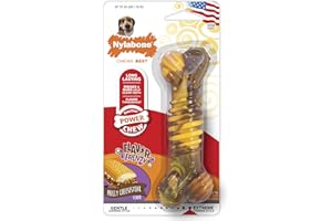 Interpet Nylabone Chew Toy for Extreme Chewers, Structural Bone Cattle and Cheese Flavour, M