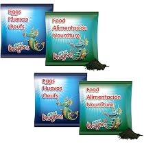 Aqua Dragons – Kit D’élevage D’artémies, Réservoir, œufs, Nourriture, Pipette – éducatif STEM, Dès 3 Ans, Avec 3 Langues