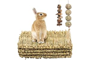 EPISKEY 4 Pcs Rabbit Scratch Mat Woven Grass Mat with Various Hamster Enrichment Rabbit Teeth Grinding Toys Molar Gerbil Balls Hamster Chew Toys for Bunny Syrian Hamster Guinea Pig (Mat+Skewer)