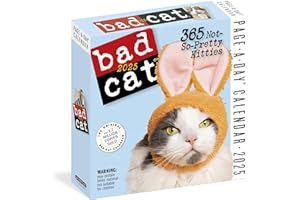 WORKMAN CALENDARS Bad Cat Page-A-Day® Calendar 2025: 365 Not-So-Pretty Kitties
