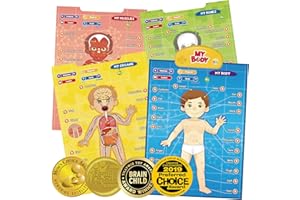 BEST LEARNING i-Poster Mon Corps - Jeu éducatif interactif sur l'anatomie Humaine Jouet pour Apprendre Les Parties du Corps, Les Organes, Les Muscles et Les os pour Enfants [Langue du Jeu : Anglais]