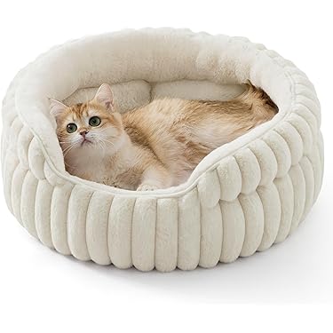 Vind krabmat in Katten-accessoires op
