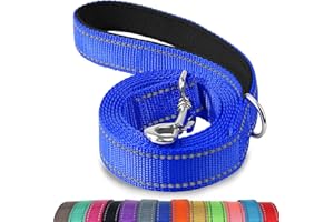 Joytale smycz dla psa z wyściełanym uchwytem, 122–182 cm, odblaskowe nylonowe smycze dla psów do treningu, smycz do spacerów dla dużych, średnich oraz małych psów