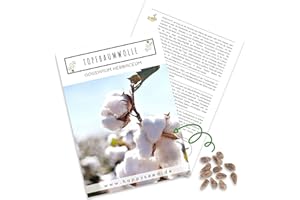 HAPPYSEED Semillas de algodón (Gossypium Herbaceum) con alta tasa de germinación - semillas de algodón para plantas de algodón mullido y suave