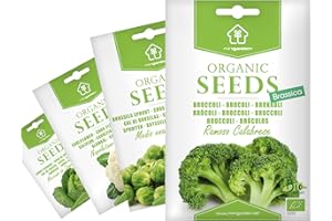 Semillas Ecológicas Minigarden, 1050+ Semillas, Selección BRASSICA: Brócoli, Coliflor, Col de Bruselas y Col de Saboya