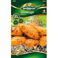 Quedlinburger 84008 Kartoffel Goldmarie (10 Stück) (Pflanzkartoffeln)