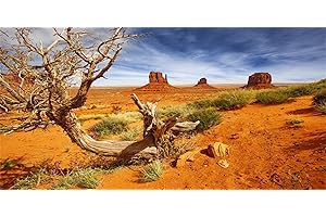 MIRRORANG 91x41cm Rettile Habitat Sfondo Arancione Deserto Terrario Sfondo Vinile Sfondo