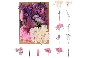 gerFogoo Natürliche Getrocknete Blumen, Trockenblumen Set, Trockenblumen zum basteln, DIY Gemischte Echte Getrocknete Gepresste Blumen für Kunst Basteln, Scrapbooking Handwerk Machen, DIY-Kerze Harz