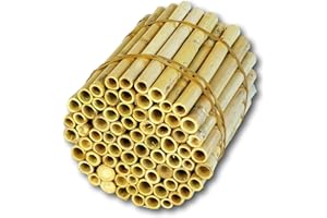 Hiss Reet BeeCasa by Schilfrohrhalme EXTRA | Naturbelassener Bund | Insektenhotel & Bienenhotel Füllmaterial | Niströhren & Nisthülsen für Wildbienen