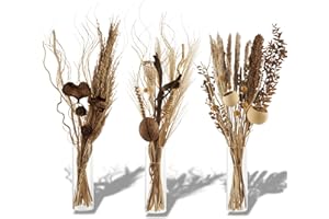 Aura Maison Flores Secas Decoracion, Ramo Flores Secas Naturales 60cm, Hecho en España, Flor Seca Decoracion Hogar, Ramas Decorativas para Jarrones Decorativos Modernos para Home Decoration