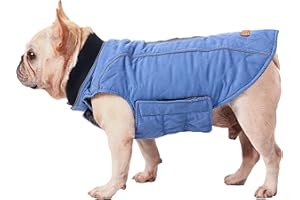BePetMia Veste pour Chien d'hiver, Manteau avec 7 Tailles pour Petits, Moyens et Grands Chiens, Combinaison de Neige Coupe-Vent, vêtements pour Chiens à Ligne réfléchissante (L, Bleu)