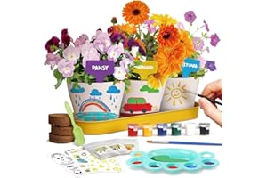 DR. DAZ Dr.Daz - Laboratorio di Botanica Gioco Scientifico - Serra Bambini - Pianta 4 tipi di fiori e abbina colori diversi per creare il tuo giardino