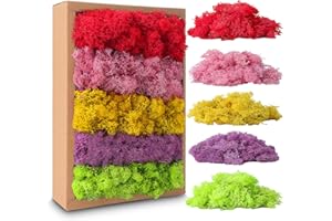 Avagiaforu Musgo Preservado, Musgos Decorativos Imitados en 5 Colores Diferentes, 200 g, Musgo Natural Preservado Decorativo, Musgo para Manualidades, Simulación de Musgo para Hogar Decorar (C)