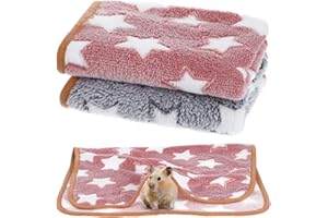 Telooco Parure de lit 2 pièces pour cochon d'Inde, imperméable, absorbante, tapis de couchage pour hamster, furet (60 x 40 cm)