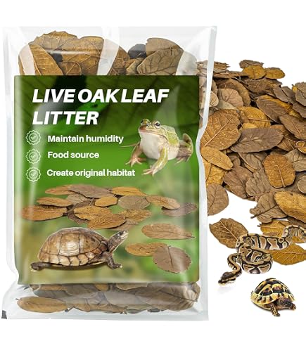 Josh's Frogs Jackfruchtblätter (10 Stück) – Naturblätter Für Aquarium & Terrarium