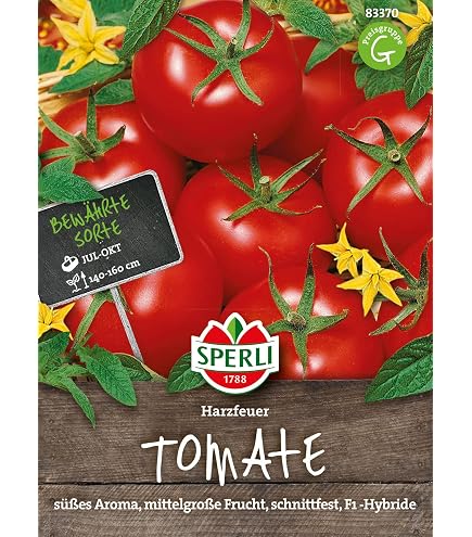 5 Korn Saatgut Tomatensamen Tomate Campari F1 Spitzensorte : Amazon.de:  Garten