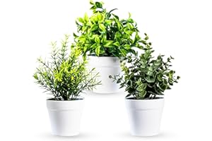 5 Star Mart Artificial Plants Indoors in Pots Plastic Potted, Eucalyptus, Rosemary, Small Fake Succulents Faux Plants for Office Desk Bedroom Kitchen House Decoration