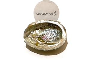 NESSASTORES - Pink Abalone Sea Shell One Side Polished Beach Craft 4" - 5" #JC-011 (1 pc)