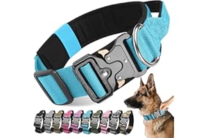Viugex Collares de Perro, Ajustable Collar Nylon para Mascotas, Collar Táctico para Perros con Hebilla de Metal, Duradero Cómodo Collares de Entrenamiento para Todo Tipo de Perros (Azul, L)