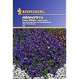 Kiepenkerl Lobelien, Kaiser Wilhelm