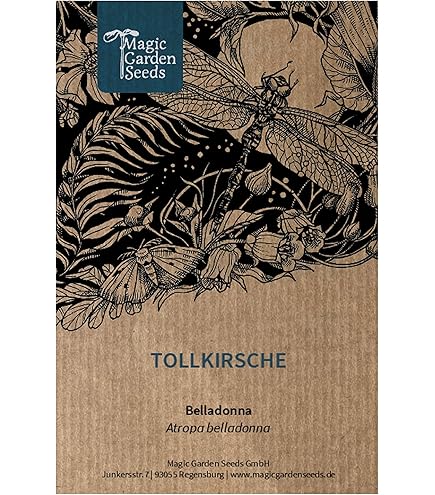 Mizuna Plants Semillas De Mizuna/Mostaza Japonesa Pack De 200