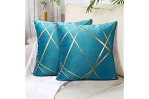 DECORMOMMT Blu Pavone Federe Cuscini 40x40Cm Copricuscini In Velluto Decorativi Quadrati Federa Cuscino Divano Geometrica Federe per Soggiorno Camera Letto Auto Decorazione Set di 2