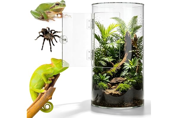 Cylindriskt vivarium i akryl 6 x 6 x 12 tum, Vivarium Panorama 360° med sidodörr och ventilation, för hoppspindlar, mygalor, bönsyrsor och små trädlevande reptiler