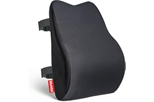 ‎BLUMTAL Blumtal ergonomisches Rückenkissen aus Memory Foam - stützendes Lendenwirbelkissen + OEKO-TEX zertifiziertem Bezug - Rückenlehne Kissen mit Verschluss - Rückenstütze - Rückenstützkissen - Lendenkissen