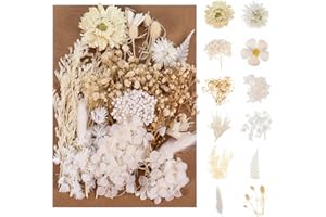 Halinuia Bouquet de Fleurs Séchées Naturelles Vraies Fleurs Pressées Décoration pour Bricolage Résine Epoxy Bijoux Floraux Nail Art DIY Bougie Fabrication Artisanale Scrapbooking(Blanc)