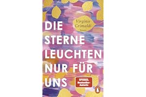 Die Sterne leuchten nur für uns: Roman
